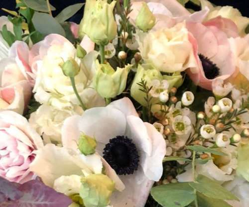 Saint-Cloud Hauts-de-Seine Gewerbeimmobilie Bild 7242759