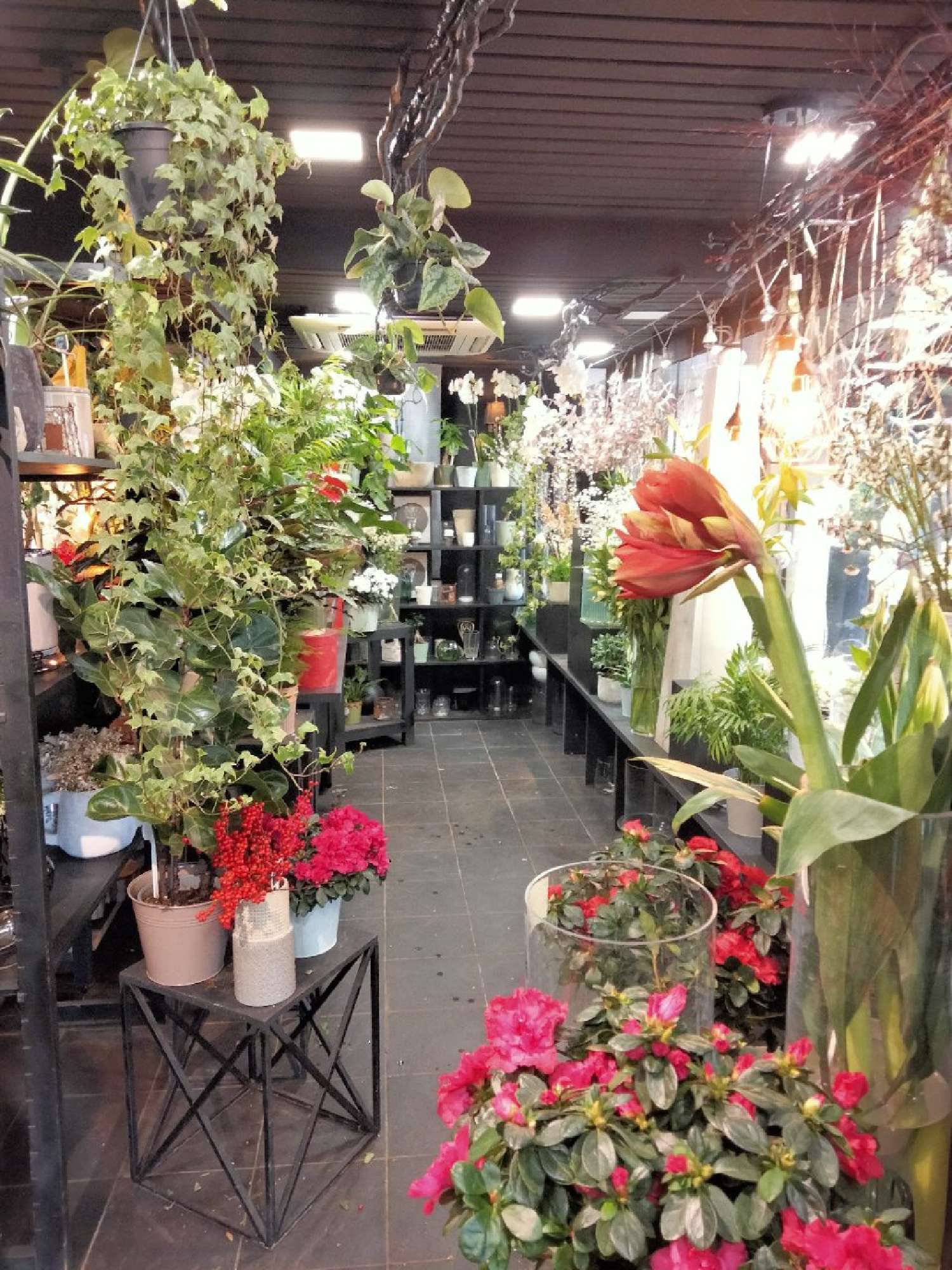  kaufen Gewerbeimmobilie Saint-Cloud Hauts-de-Seine 3