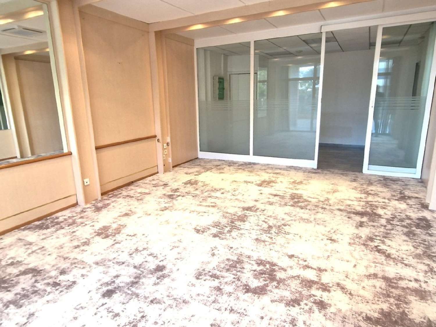 for sale commercial Saint-Laurent-du-Var Alpes-Maritimes 2