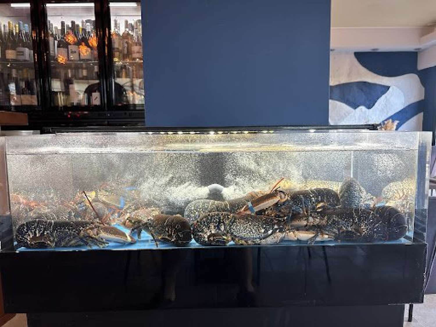  à vendre commerce Valras-Plage Hérault 7