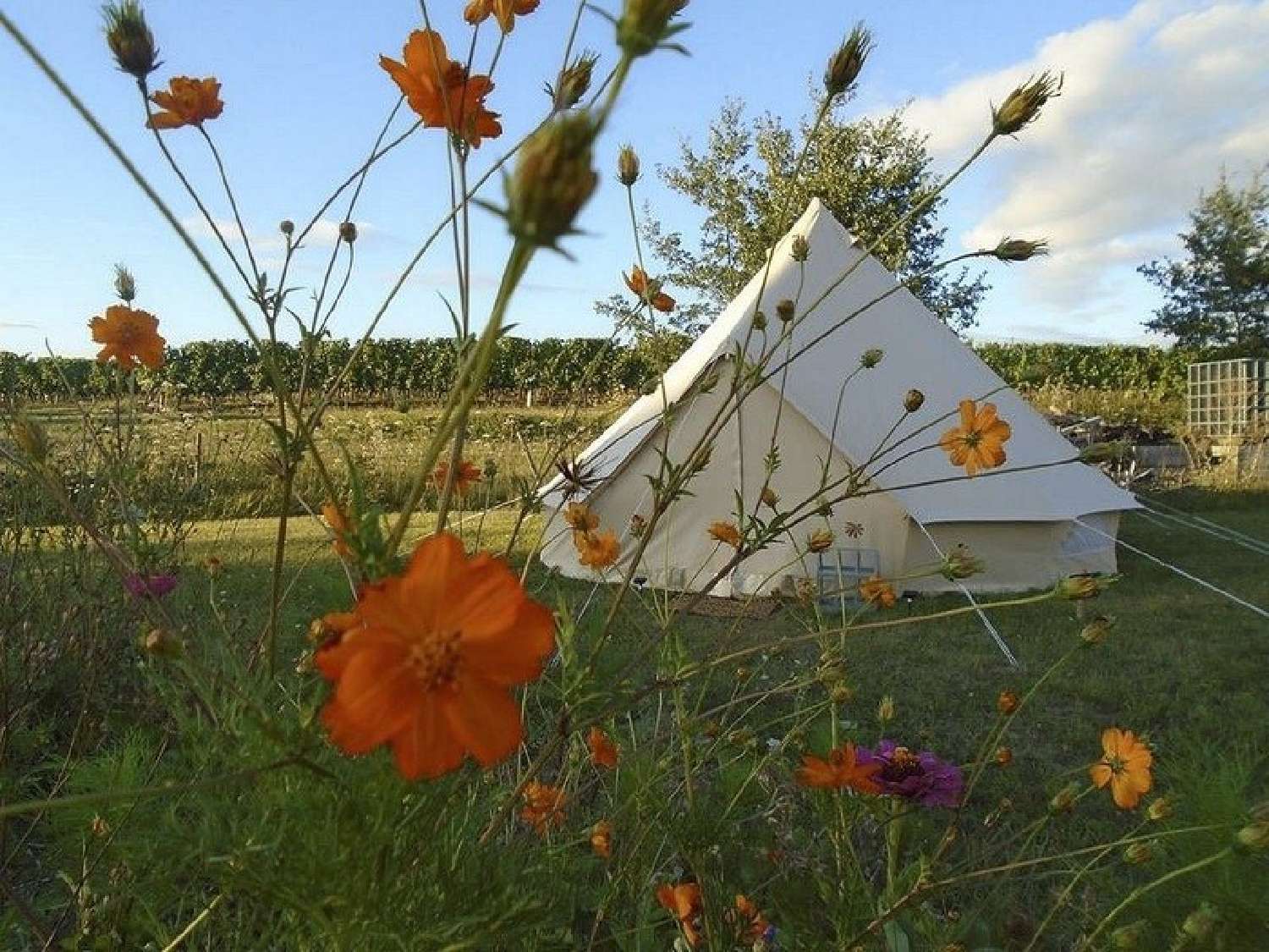  te koop landgoed Bergerac Dordogne 3