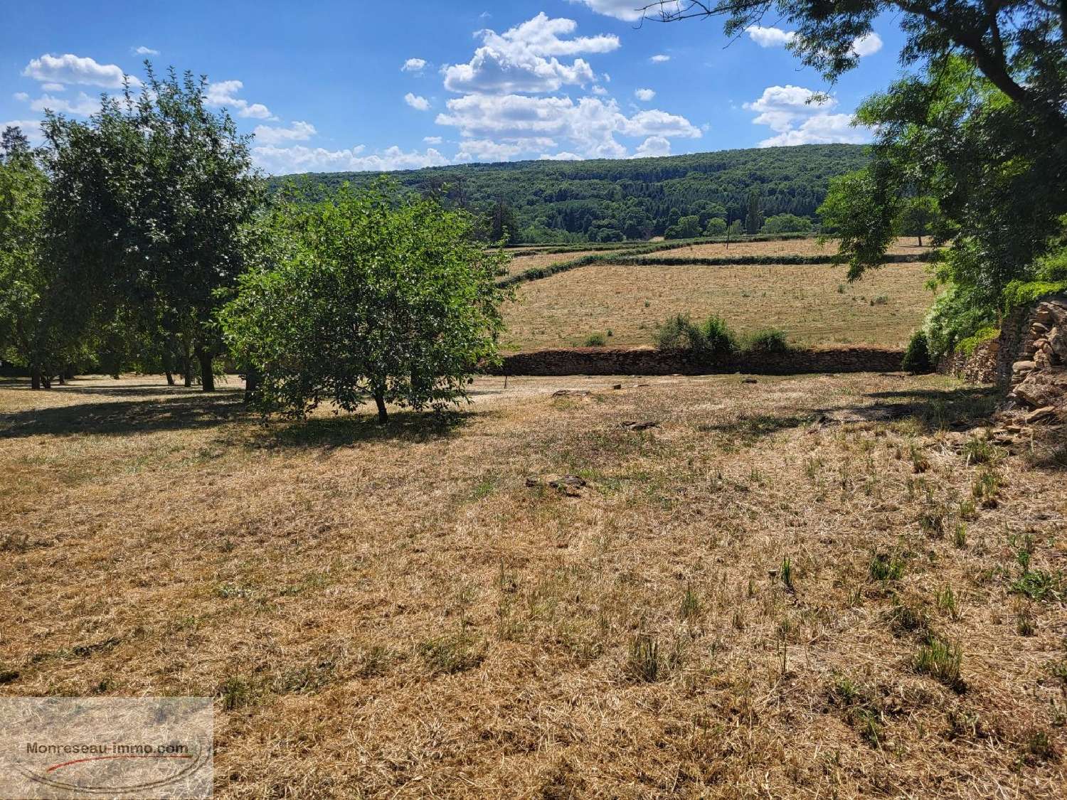  for sale estate Cluny Saône-et-Loire 4