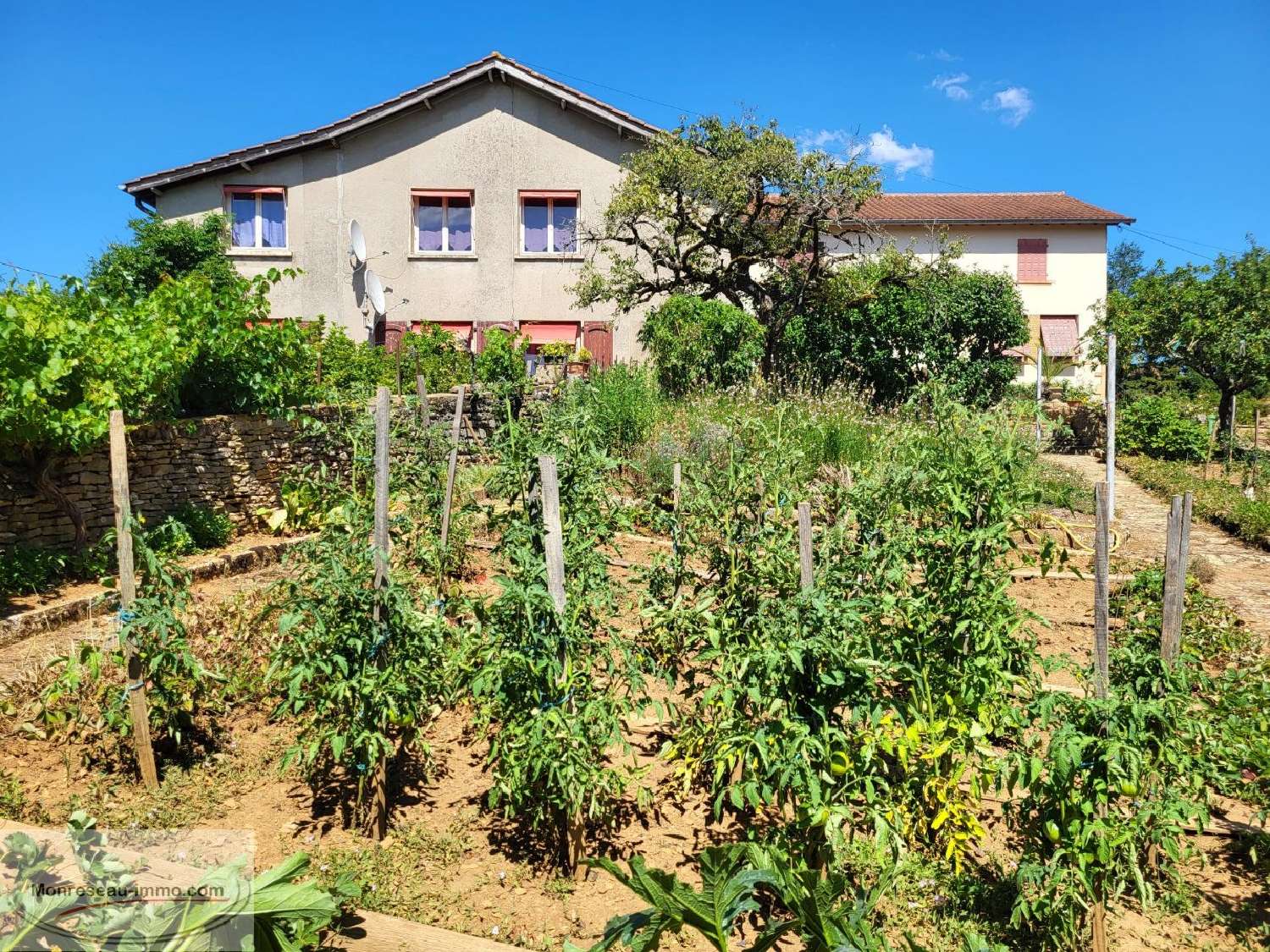  for sale estate Cluny Saône-et-Loire 6