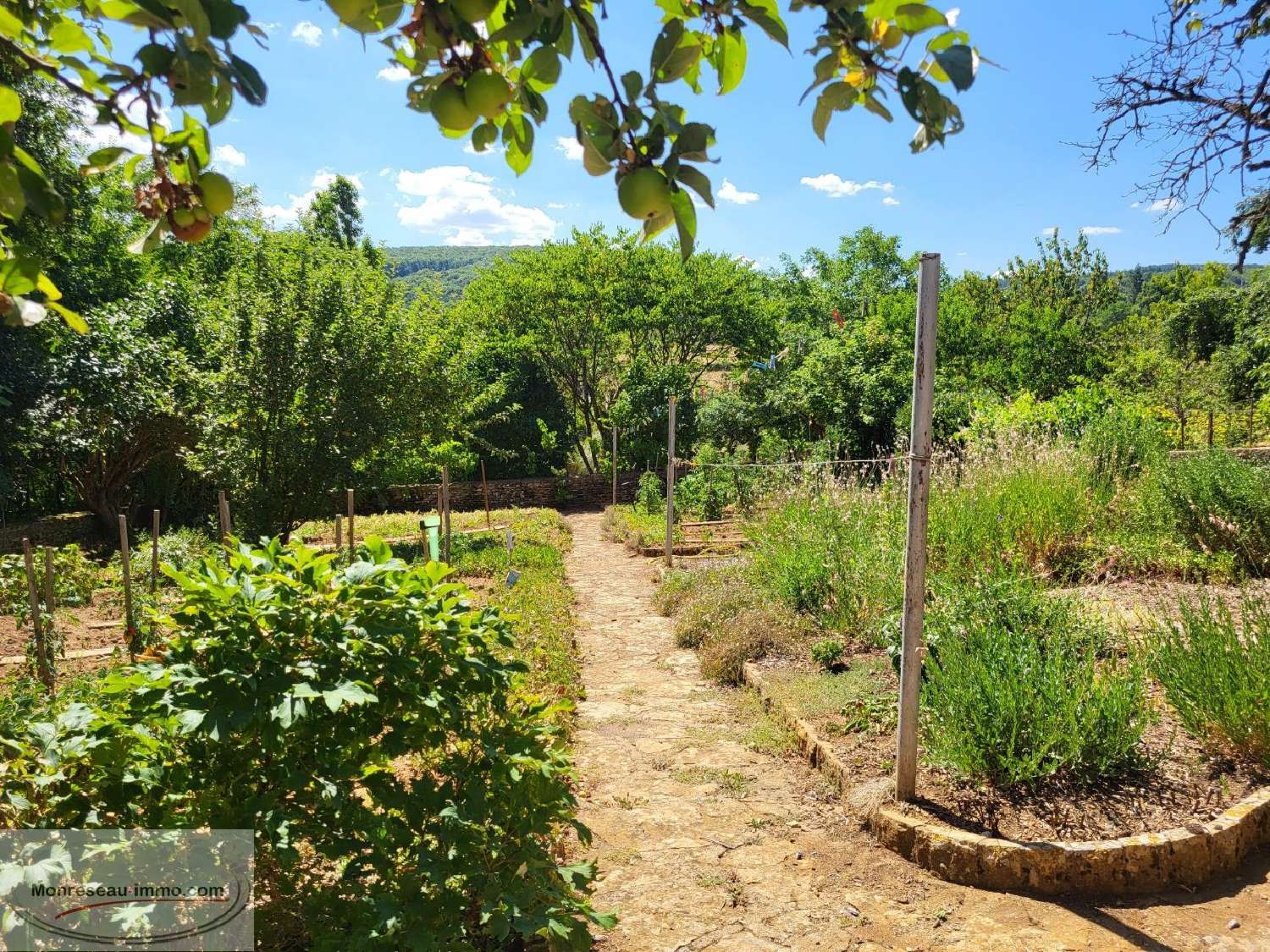  for sale estate Cluny Saône-et-Loire 7