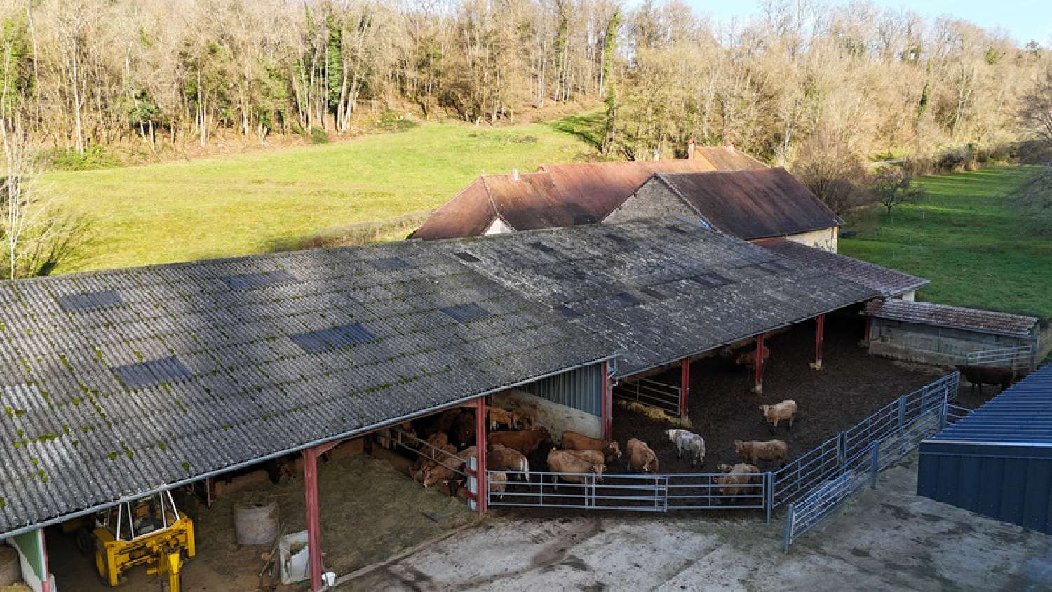  for sale estate Gizia Jura 6