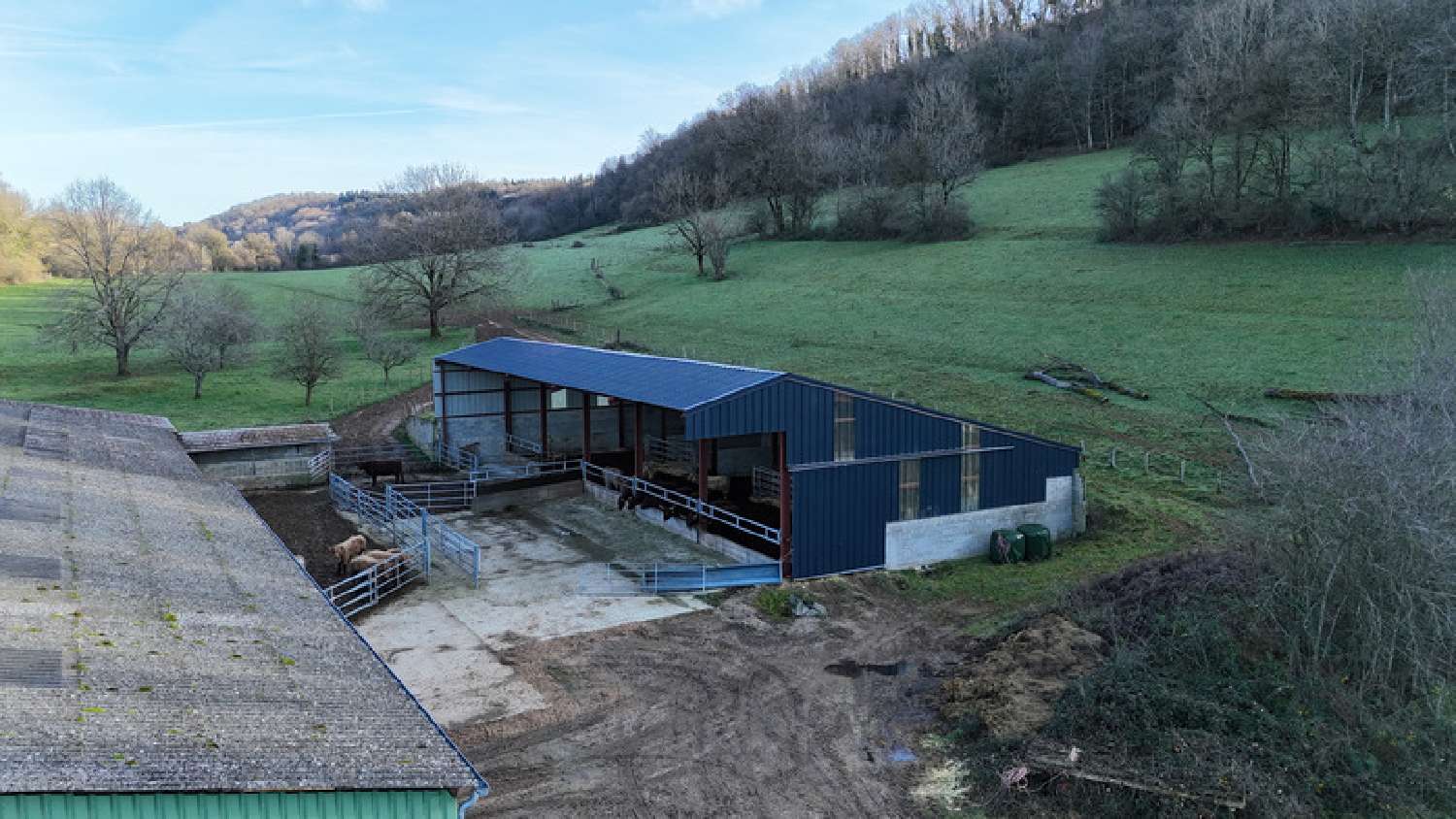  for sale estate Gizia Jura 7