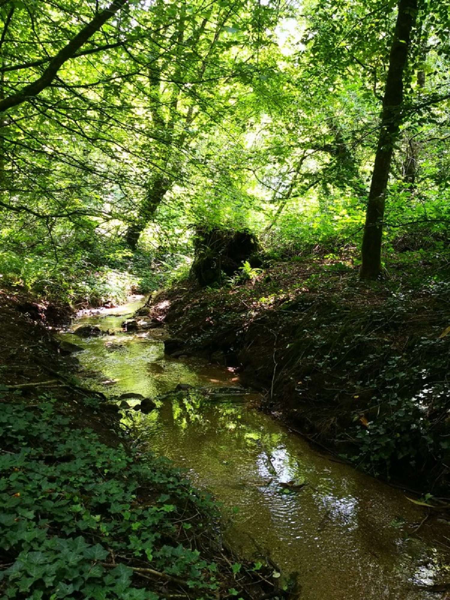 te koop landgoed Guéméné-sur-Scorff Morbihan 1