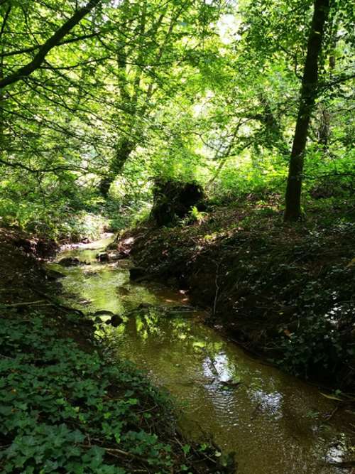 Guéméné-sur-Scorff Morbihan landgoed foto 7244008