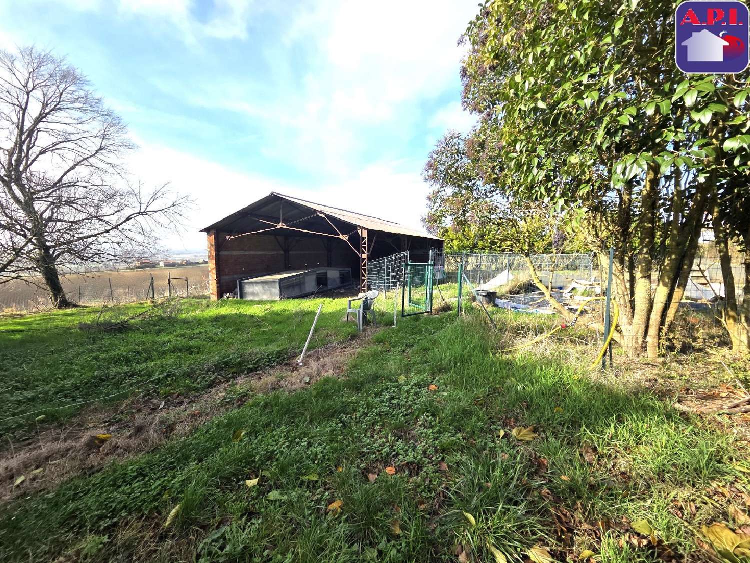  for sale estate Molandier Aude 3