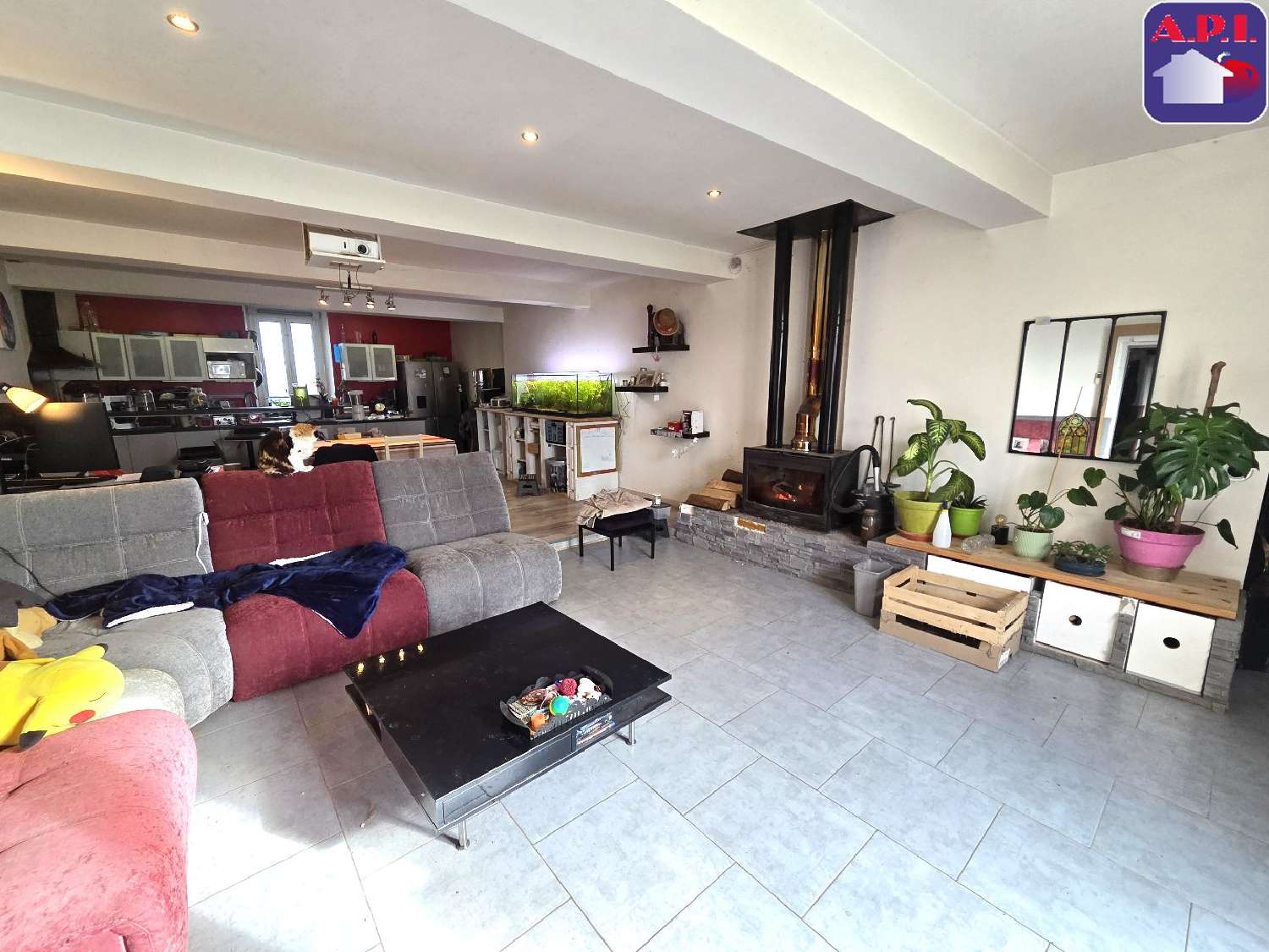  for sale estate Molandier Aude 5