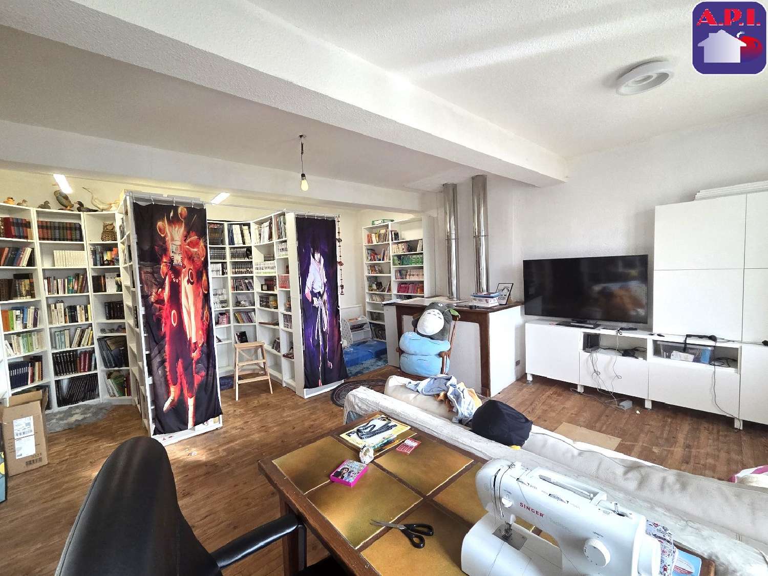  for sale estate Molandier Aude 6