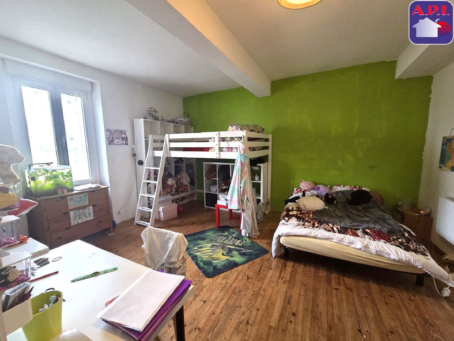  for sale estate Molandier Aude 7