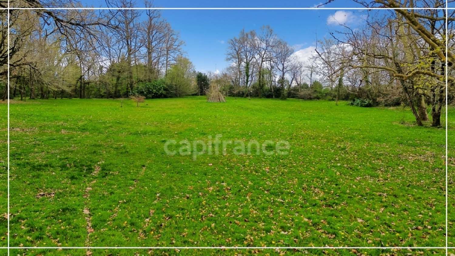  à vendre propriété Nogaro Gers 8