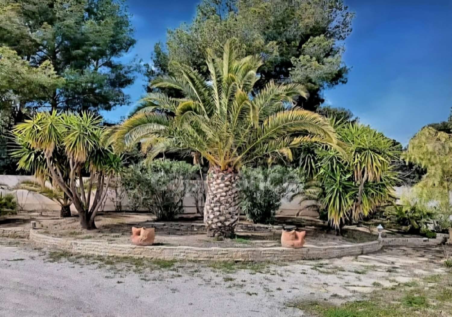  te koop landgoed Saint-Cyr-sur-Mer Var 8