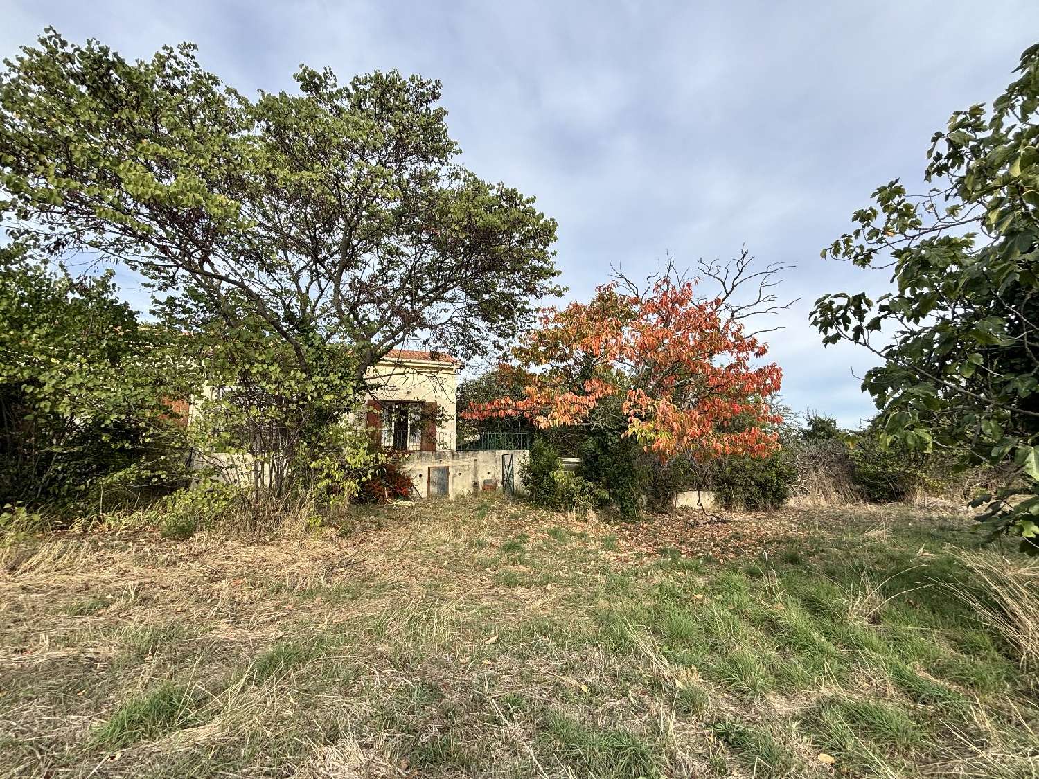  te koop landgoed Saint-Geniès-de-Fontedit Hérault 2