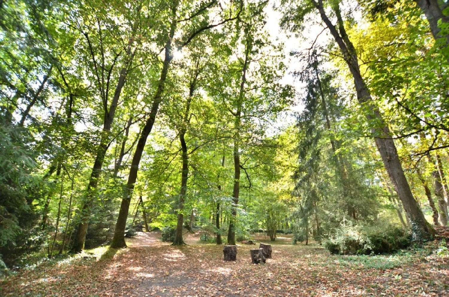 à vendre propriété Saint-Germain-Laval Loire 3