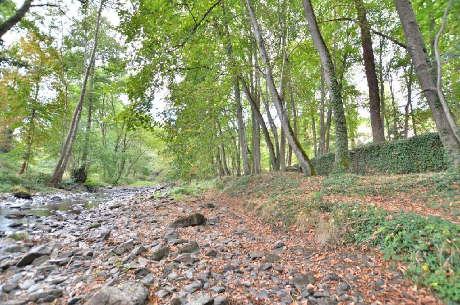 à vendre propriété Saint-Germain-Laval Loire 8