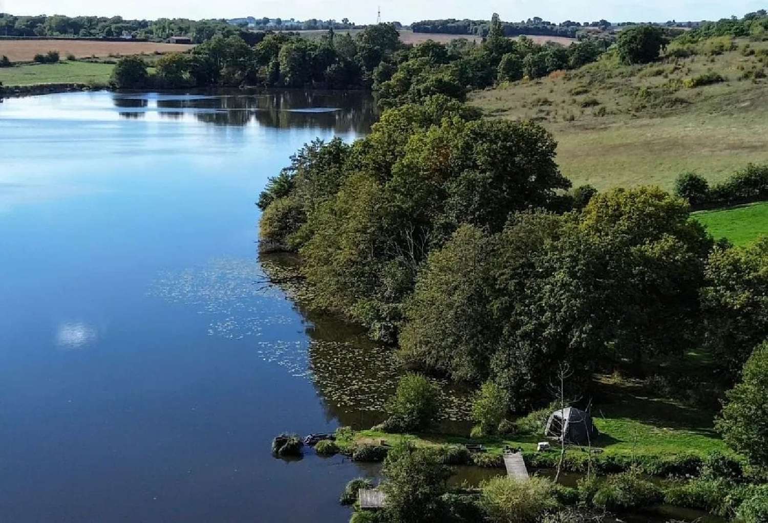  for sale estate Saint-Jeanvrin Cher 6