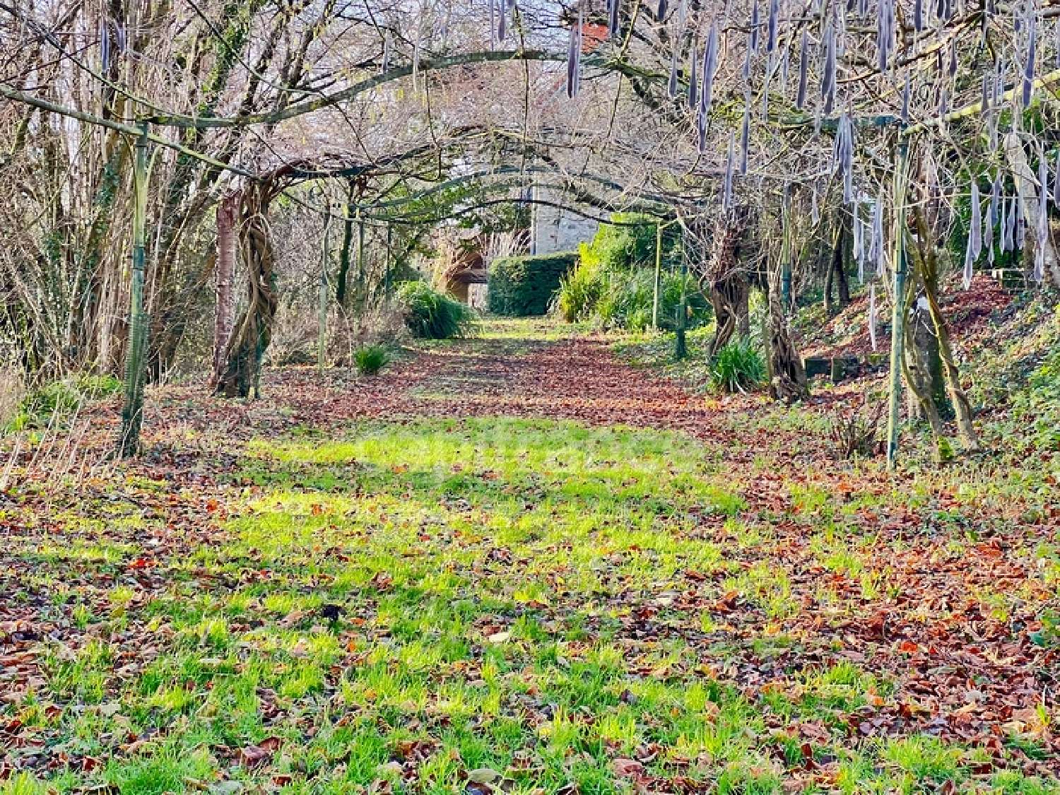 à vendre propriété Saint-Léonard Pas-de-Calais 3