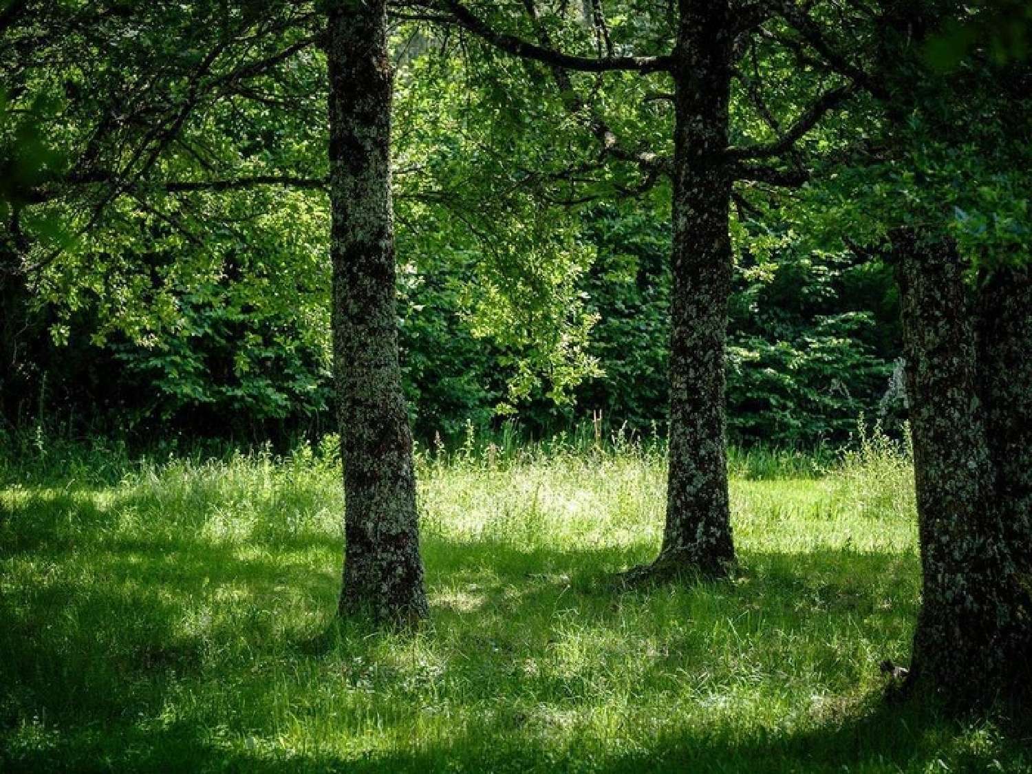  for sale estate Saint-Vaury Creuse 4