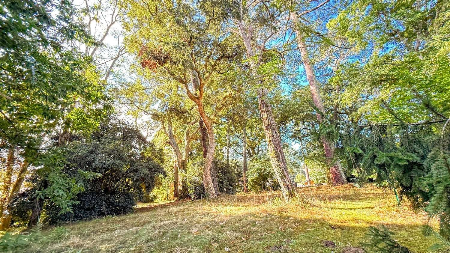  en venta finca rústica Soorts-Hossegor Landes 5