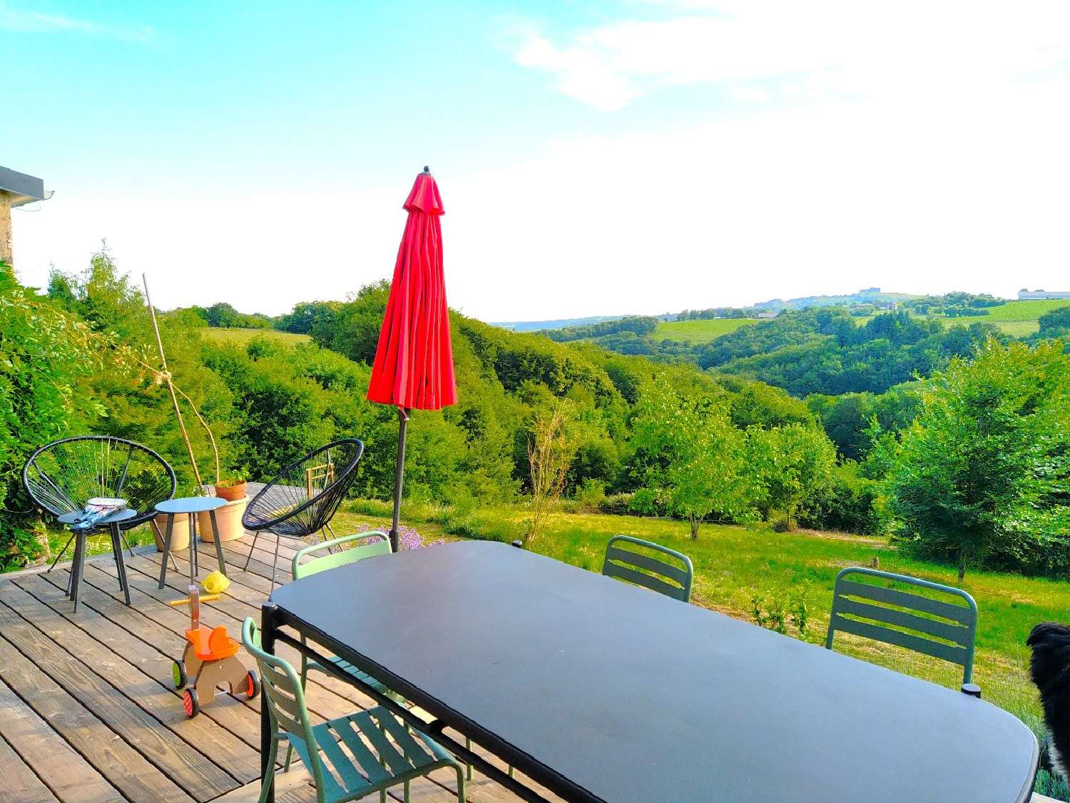  te koop boerderij La Salvetat-Peyralès Aveyron 1