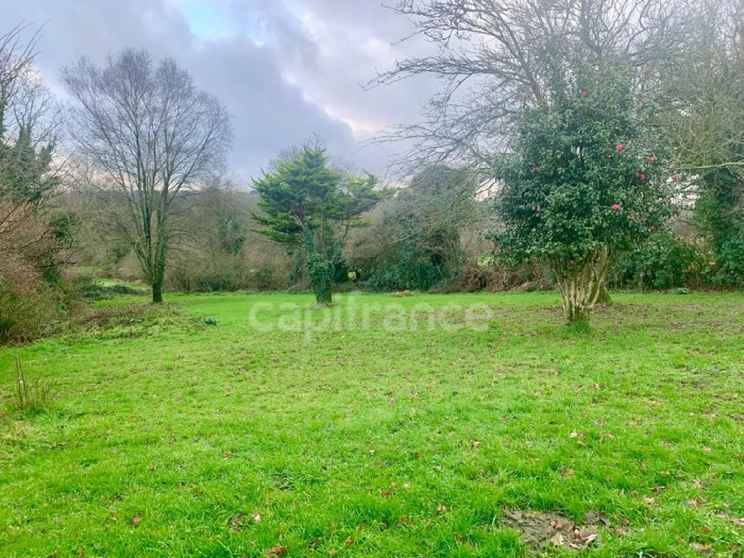  te koop boerderij Leuhan Finistère 3