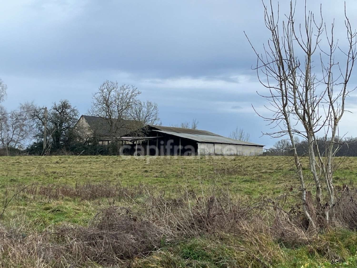  for sale farm Malicorne Yonne 3