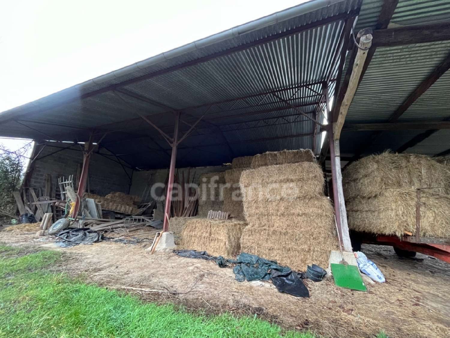  for sale farm Malicorne Yonne 6