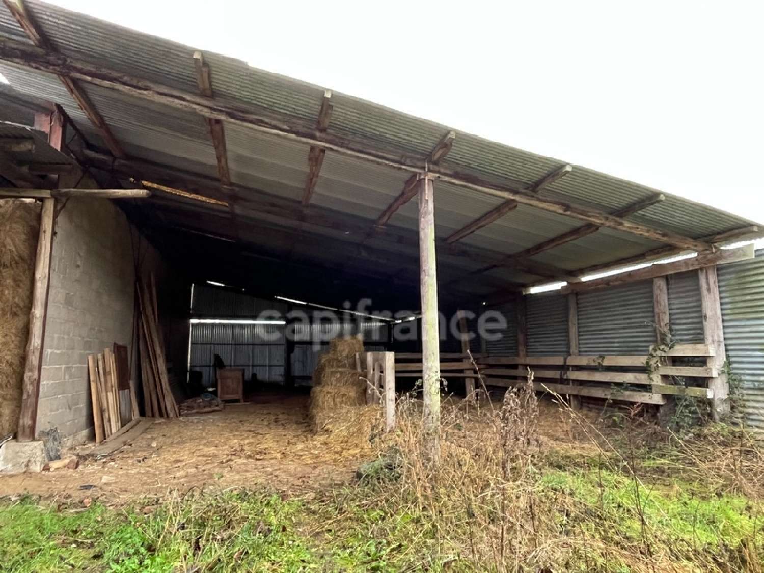  for sale farm Malicorne Yonne 7