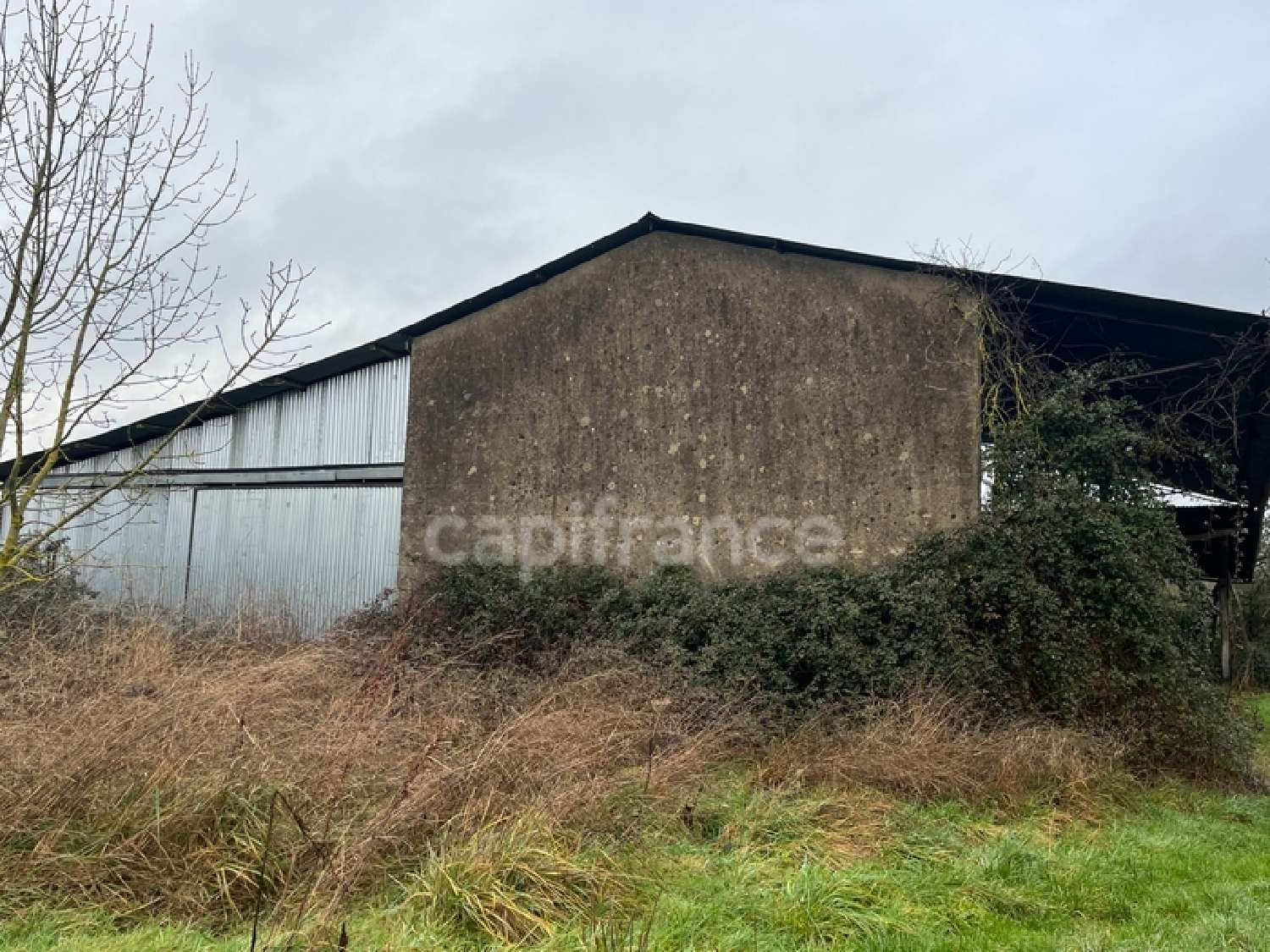  for sale farm Malicorne Yonne 8