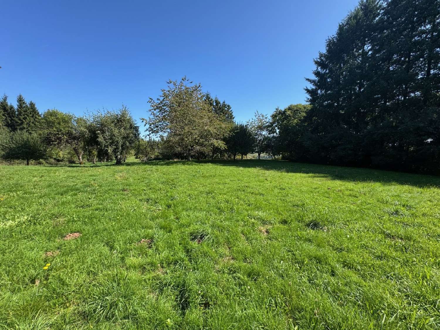  for sale farm Montsalvy Cantal 4