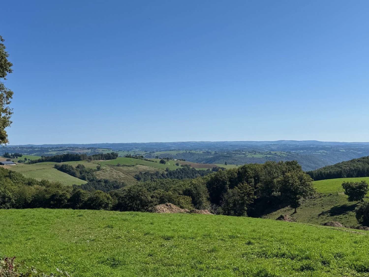  for sale farm Montsalvy Cantal 5