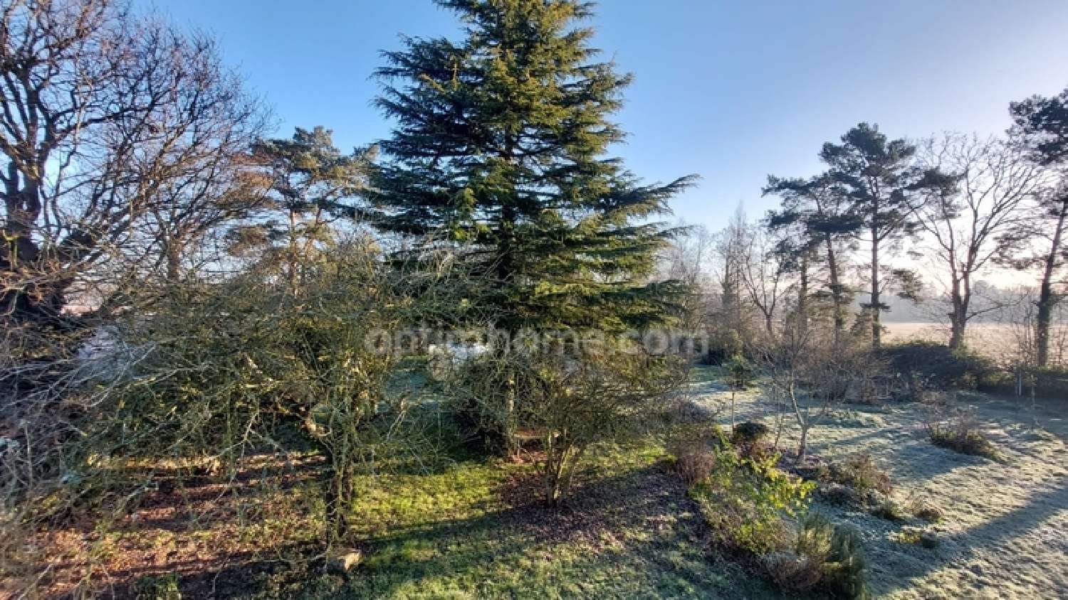  te koop boerderij Saint-Onen-la-Chapelle Ille-et-Vilaine 5