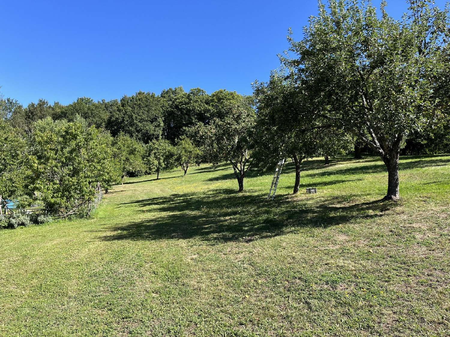  for sale farm Saint-Perdoux Lot 5