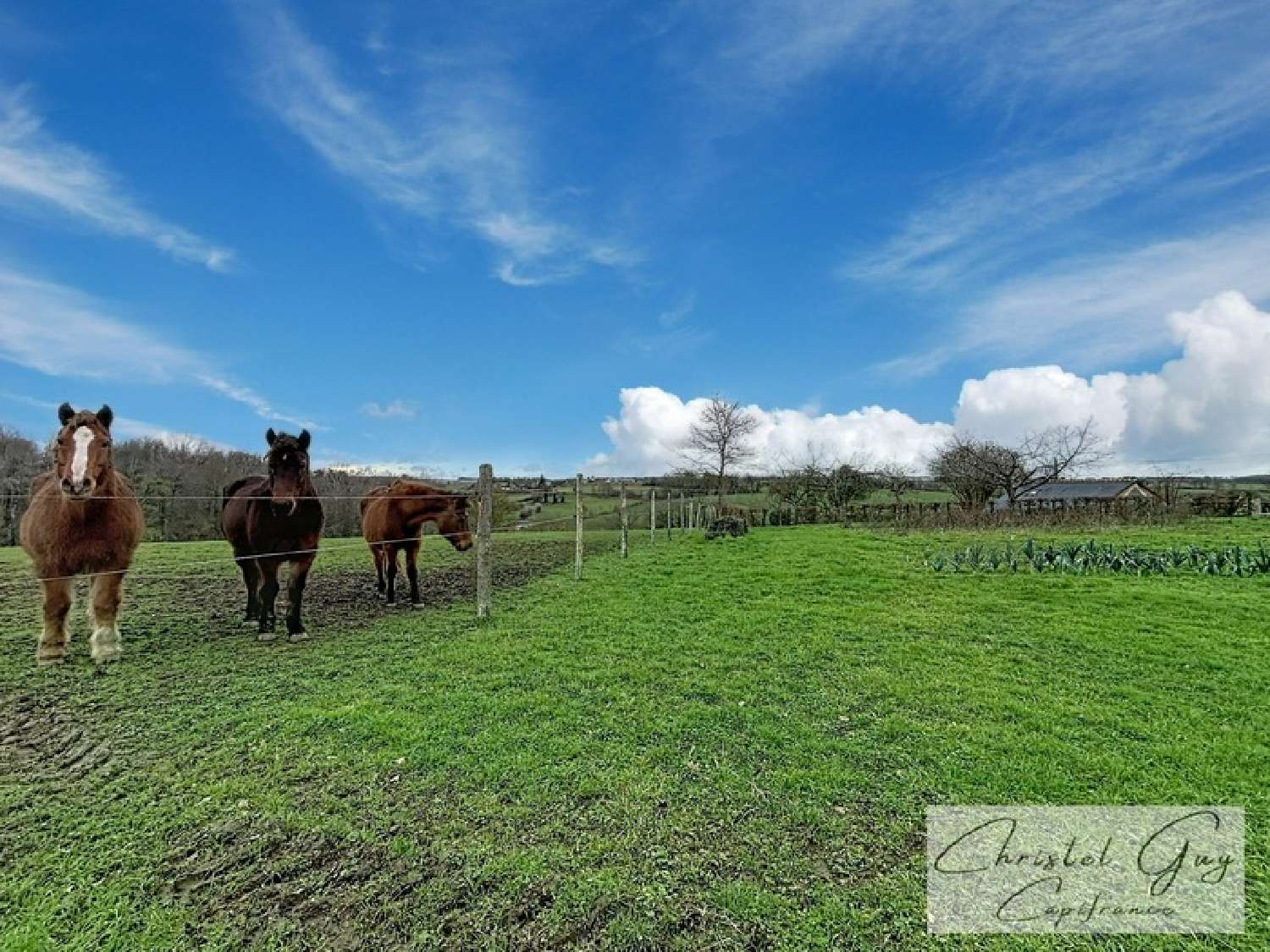 à vendre ferme Saint-Pierre-de-Chevillé Sarthe 2