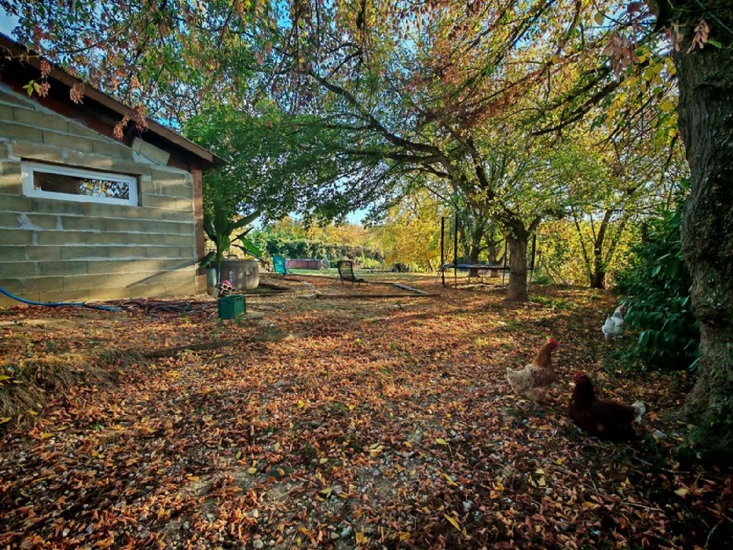 te koop boerderij Targon Gironde 6