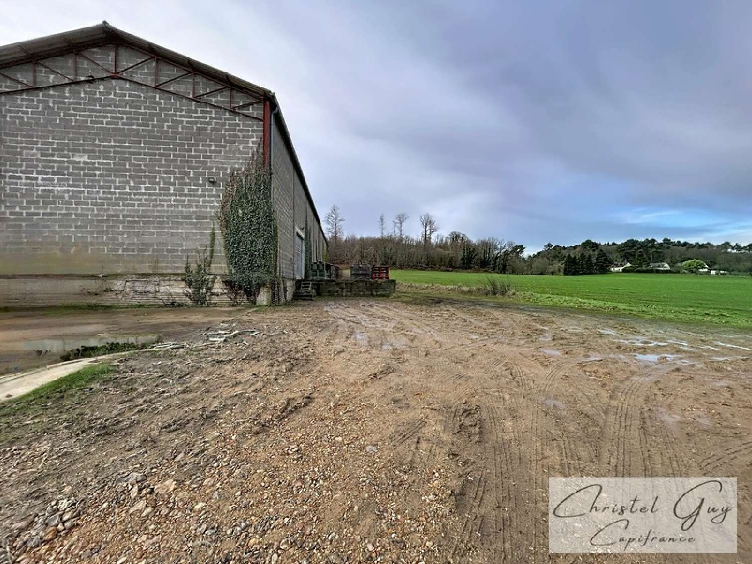  à vendre ferme Vaas Sarthe 3
