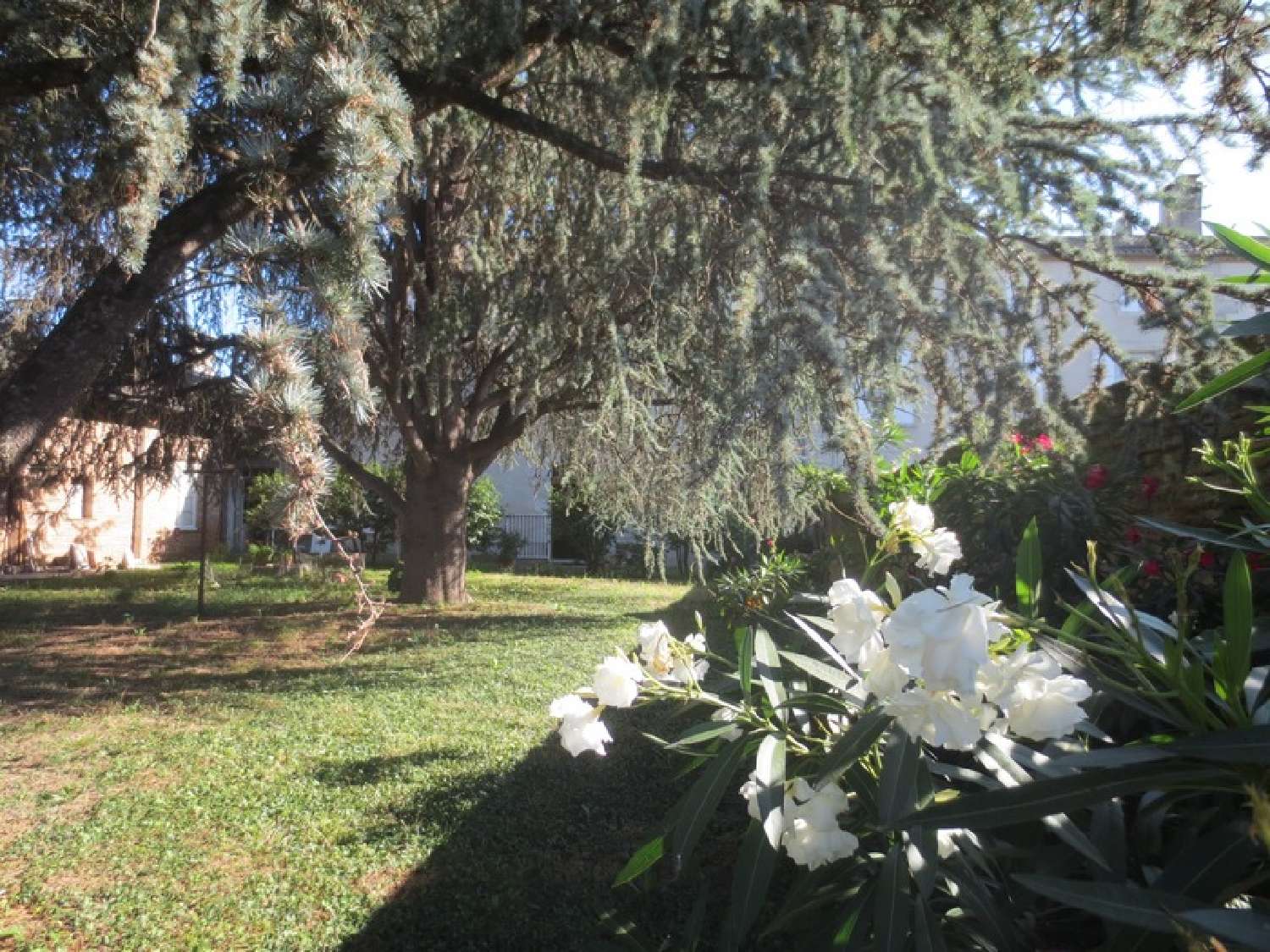  for sale house Agen Lot-et-Garonne 4