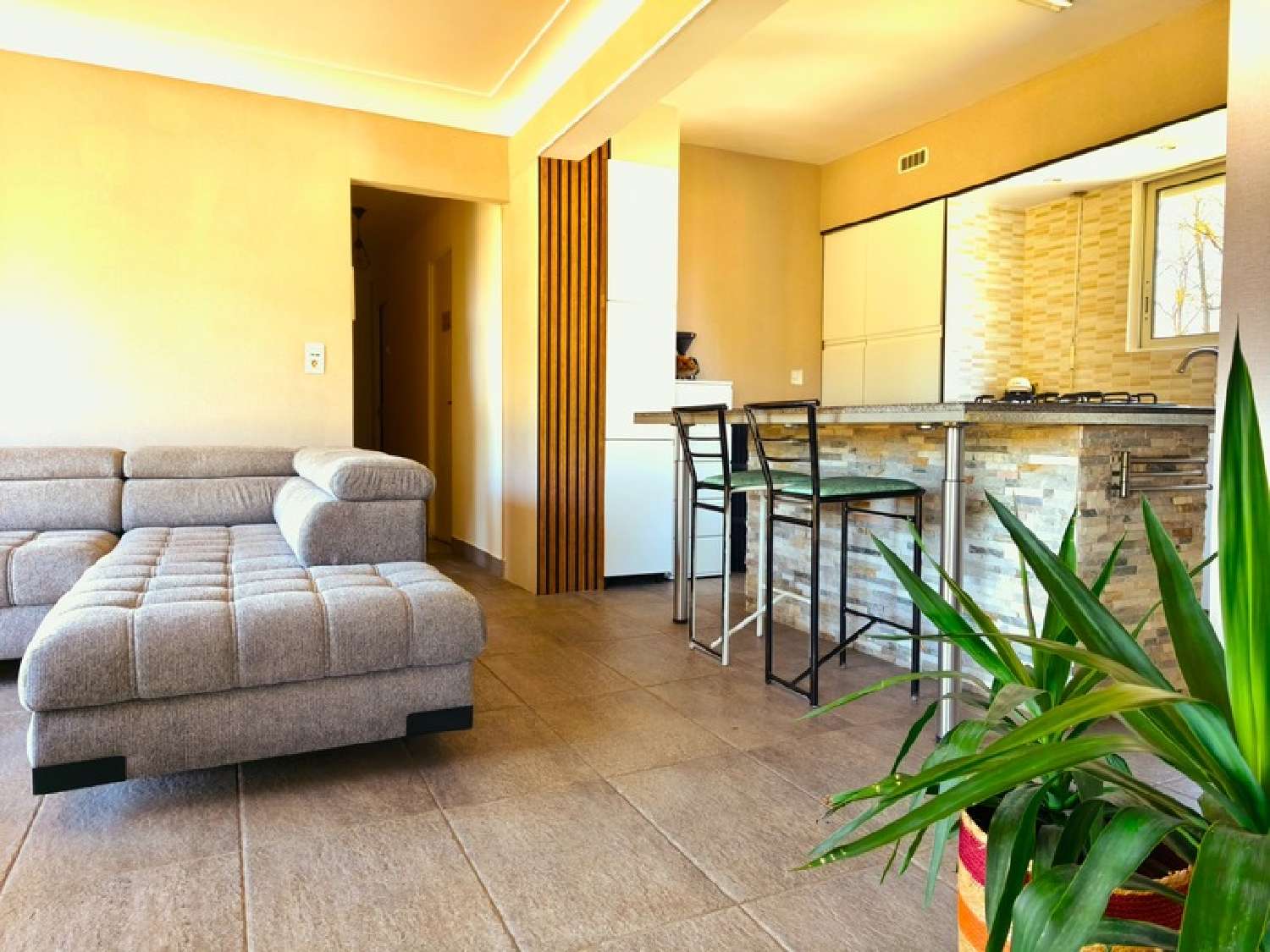  te koop huis Aire-sur-l'Adour Landes 5