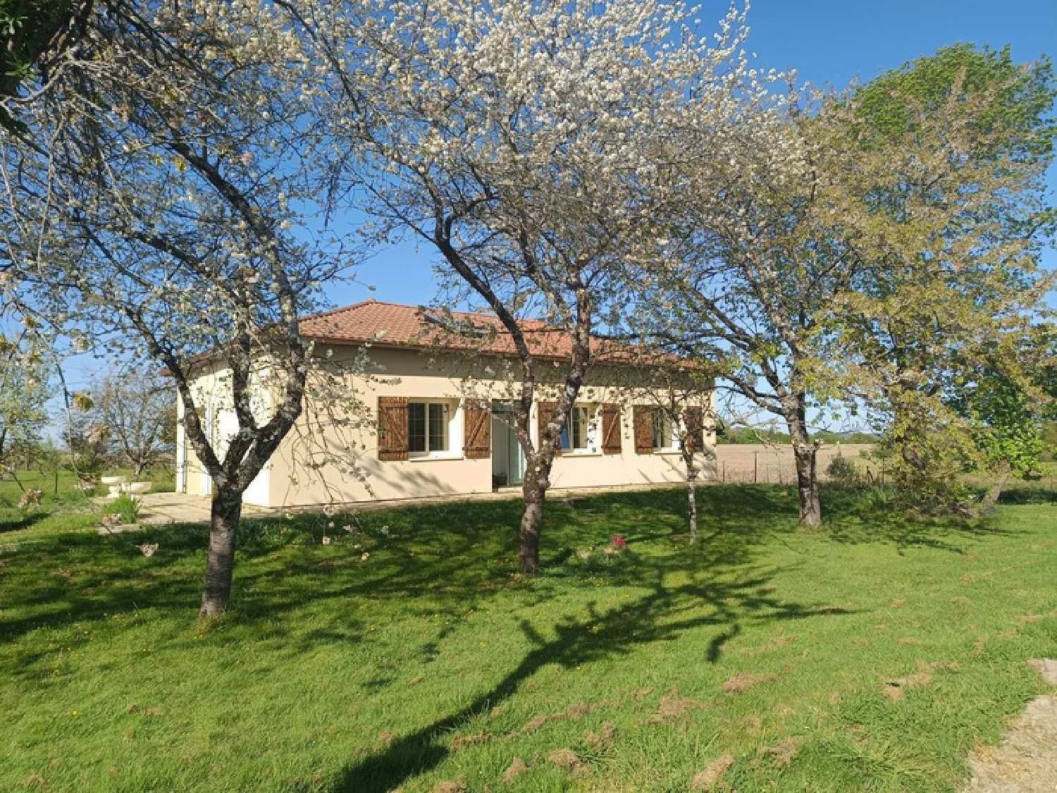 kaufen Haus Aire-sur-l'Adour Landes 1