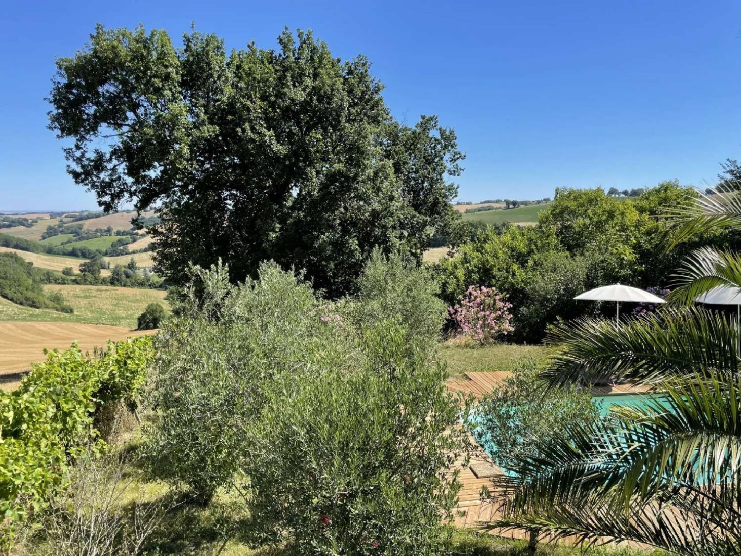  kaufen Haus Ambax Haute-Garonne 3