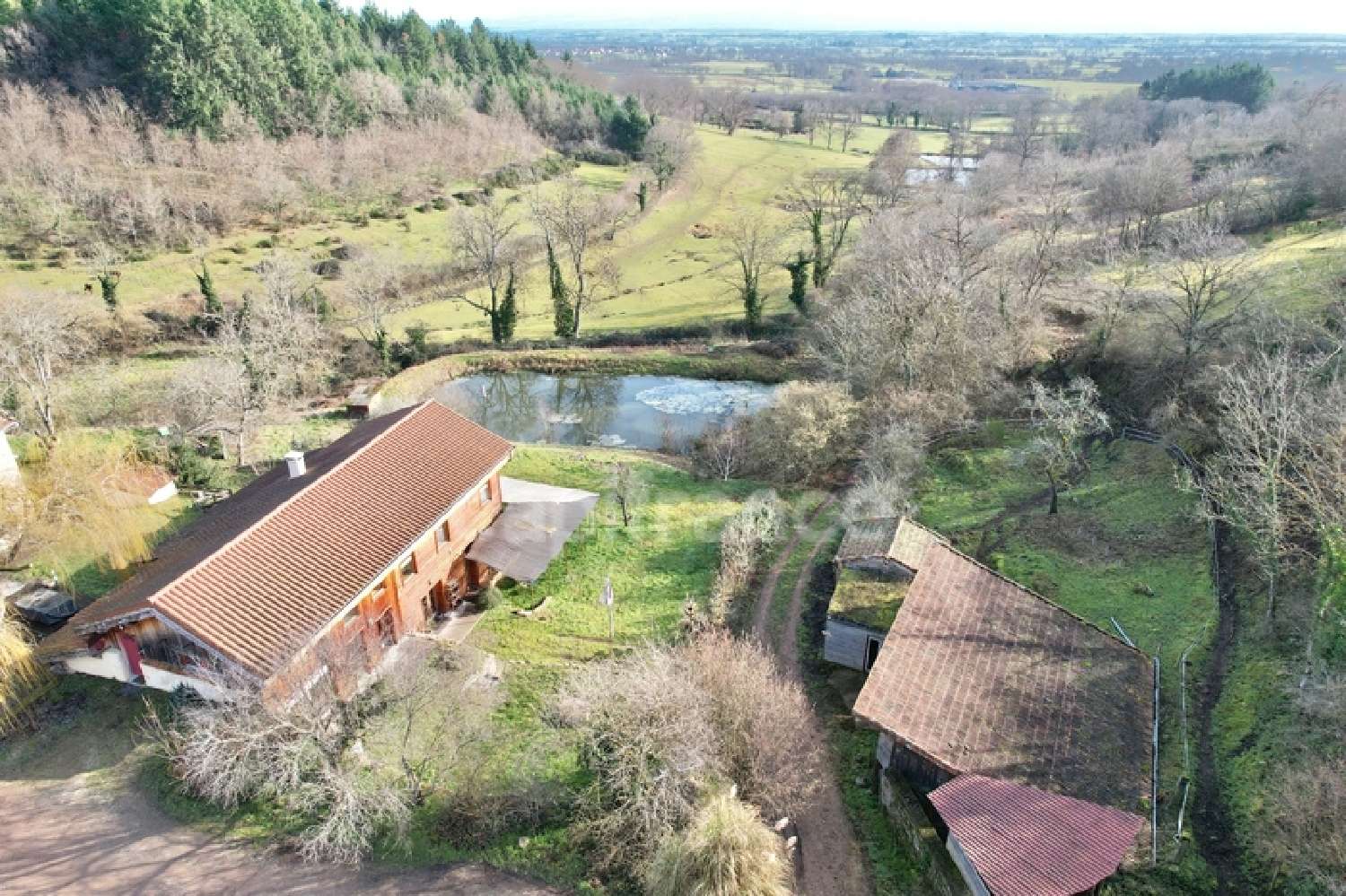  kaufen Haus Ambierle Loire 4