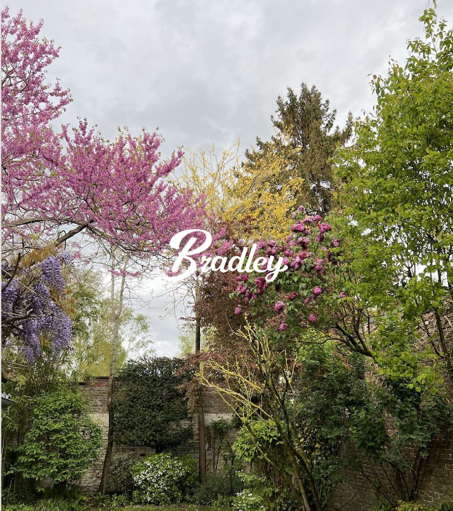  te koop huis Amiens 80090 Somme 1