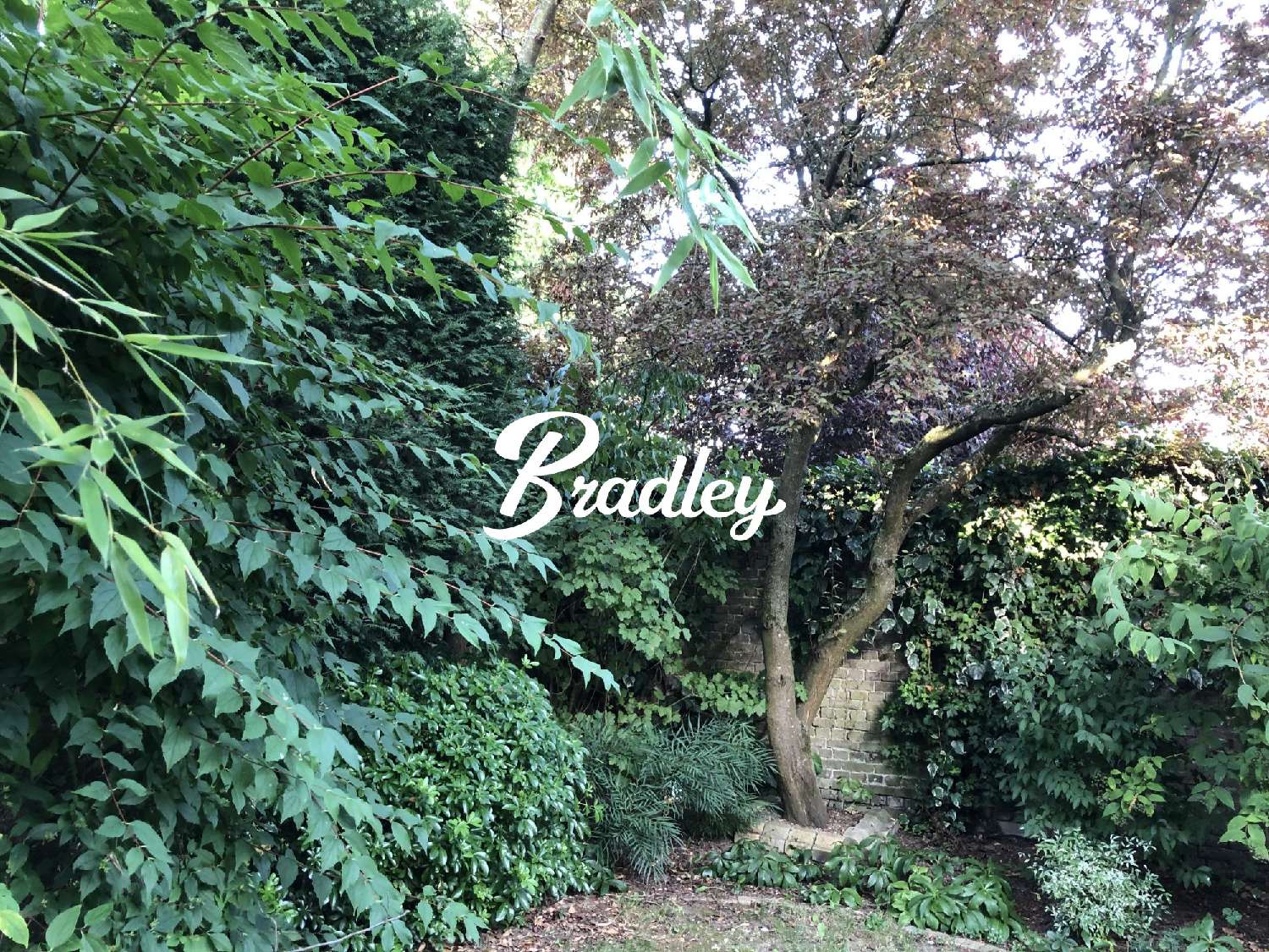  te koop huis Amiens 80090 Somme 2