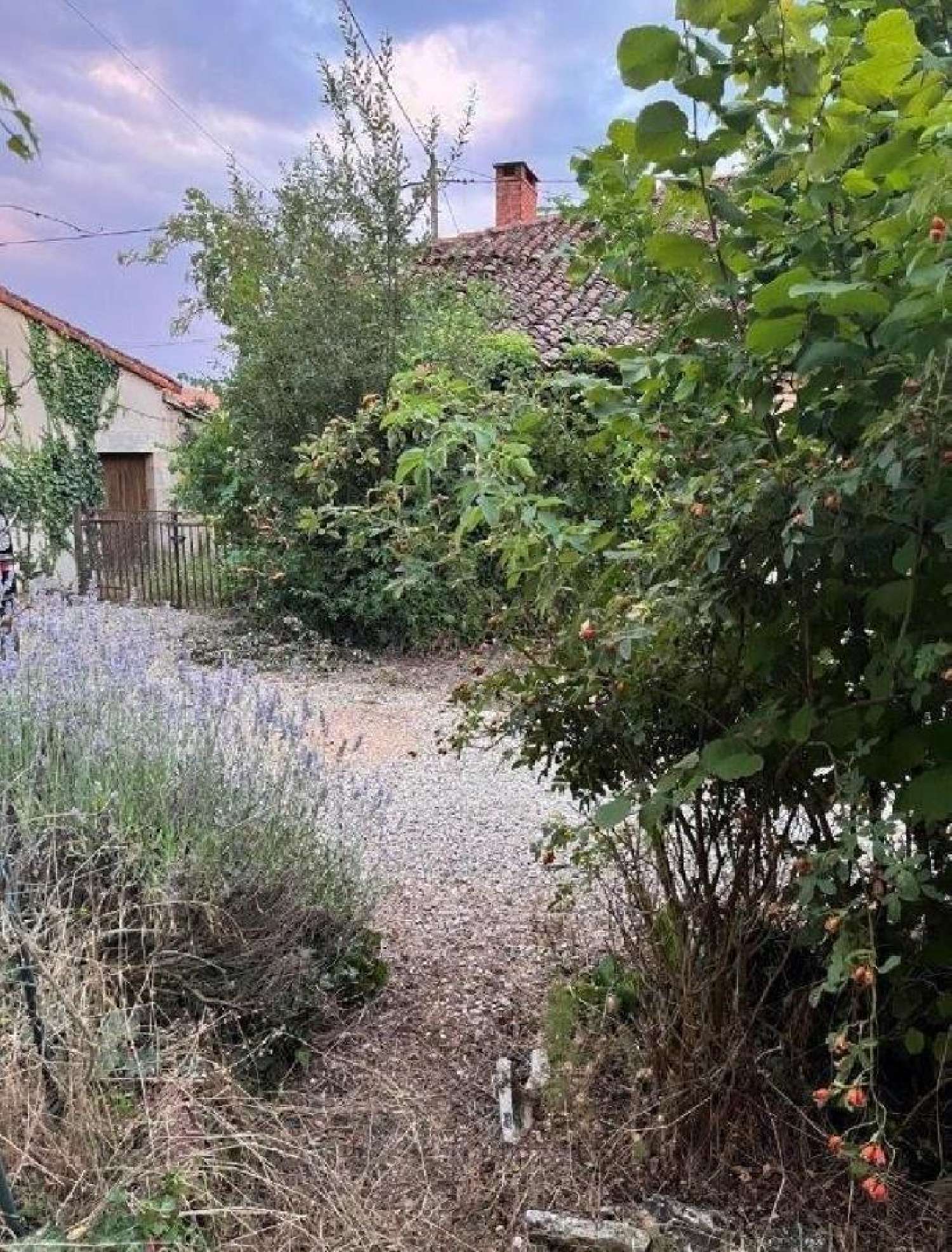 kaufen Haus Anché Vienne 5