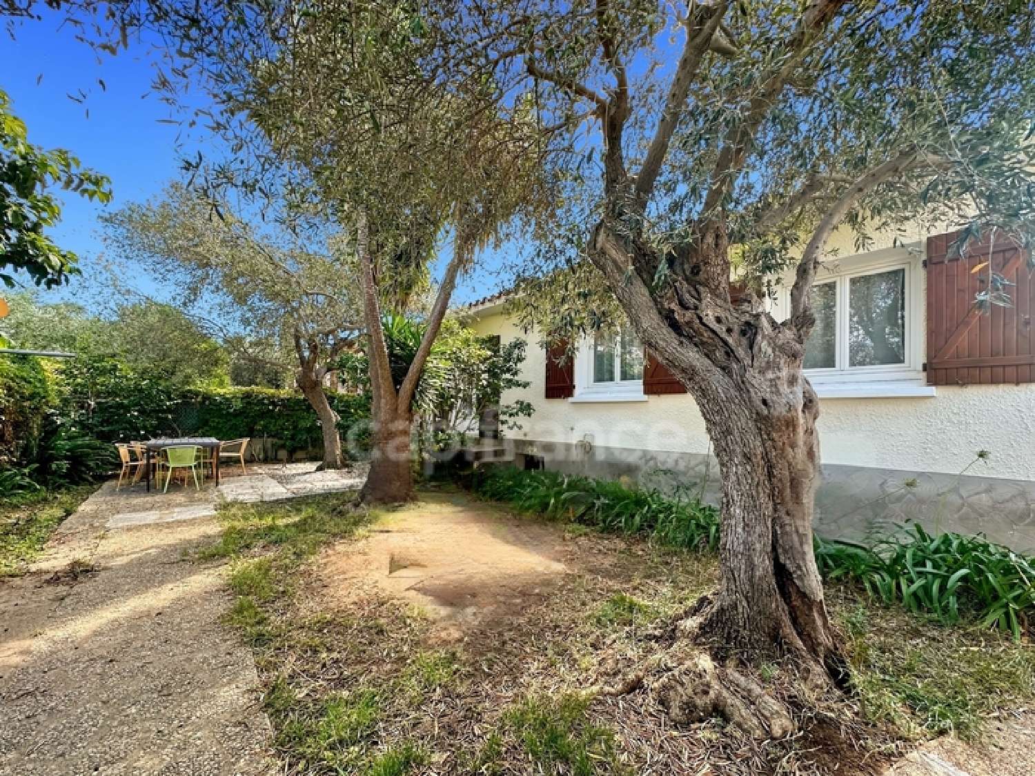  en venta casa Argelès-sur-Mer Pirineo Oriental 4