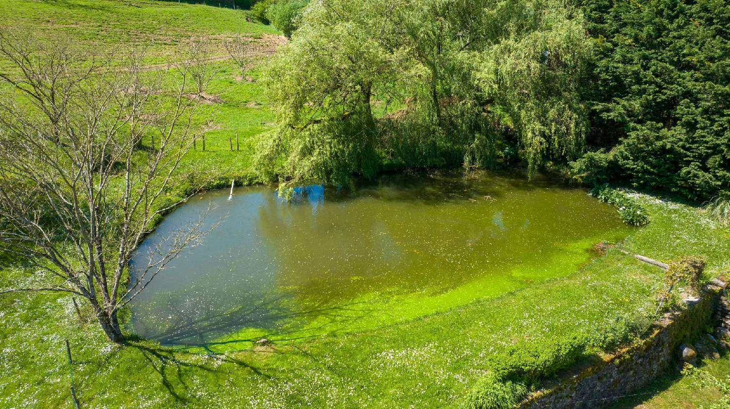  te koop huis Argentat Corrèze 8