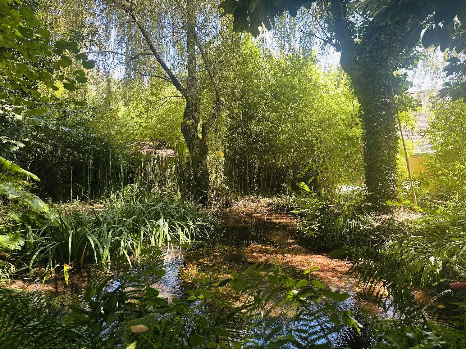  te koop huis Aucazein Ariège 5