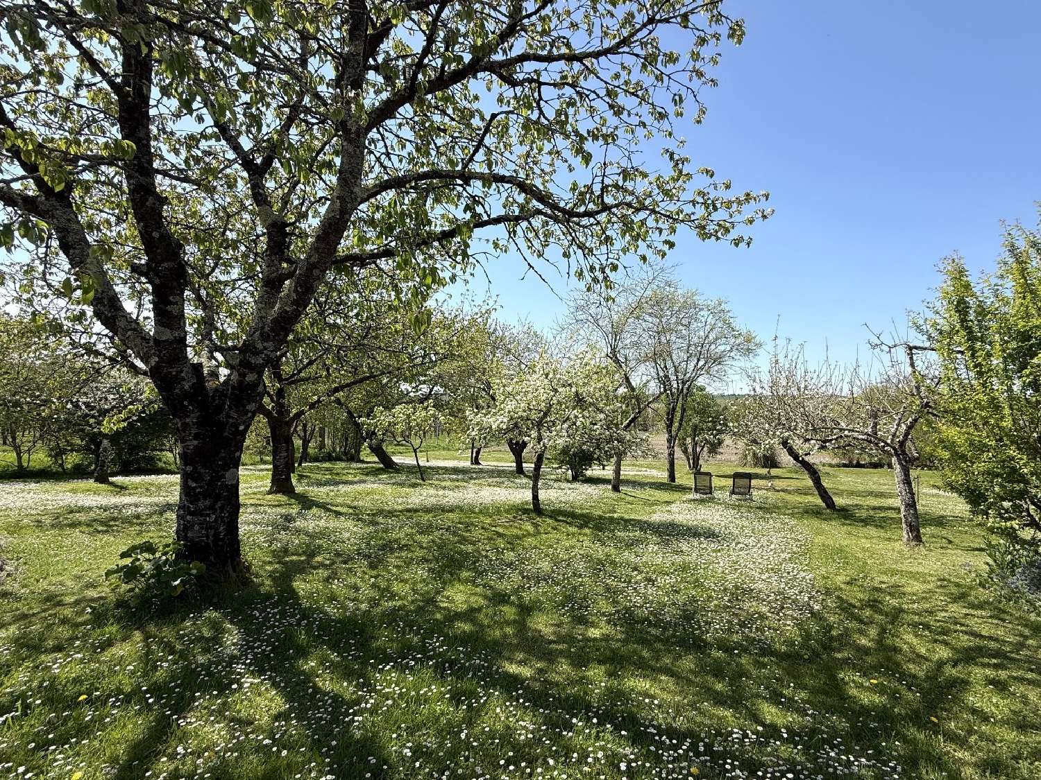  for sale house Auriac-de-Bourzac Dordogne 5